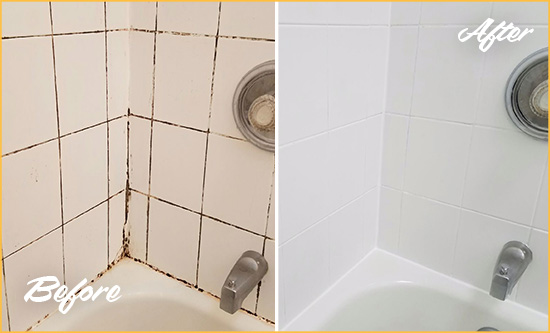 Sir Grout Cleans this Monroe Shower Tile and Grout to Eliminate Mold Before and After Picture of a Monroe Shower Tile and Grout Cleaned to Eliminate Mold
